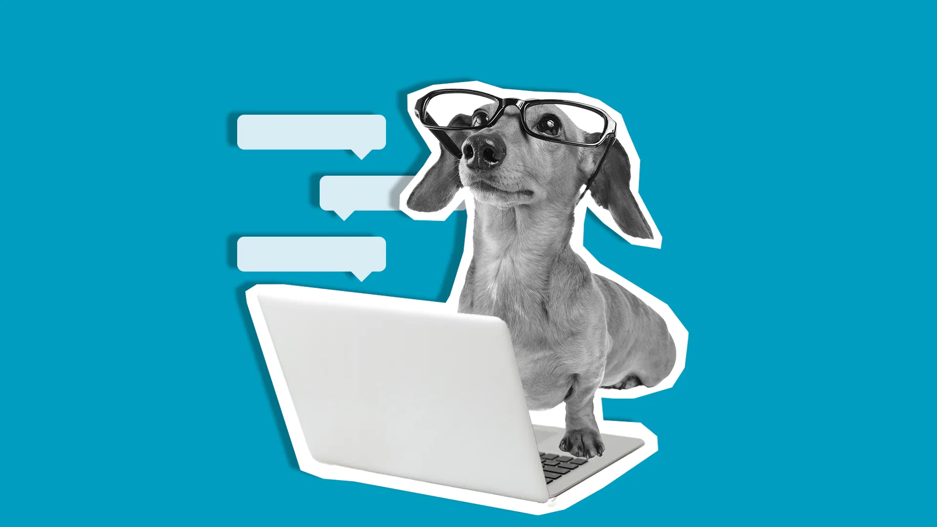 dog on laptop with blue background