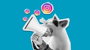 How to Improve your Instagram Reach: 5+ Expert Tips