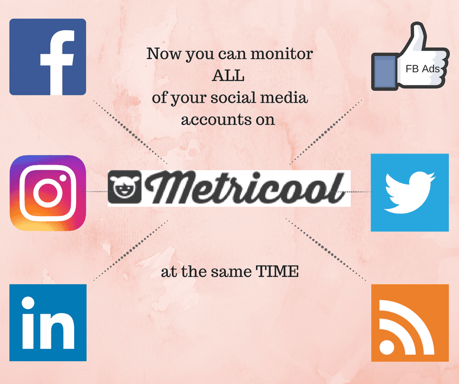 Social Media Stats Metricool