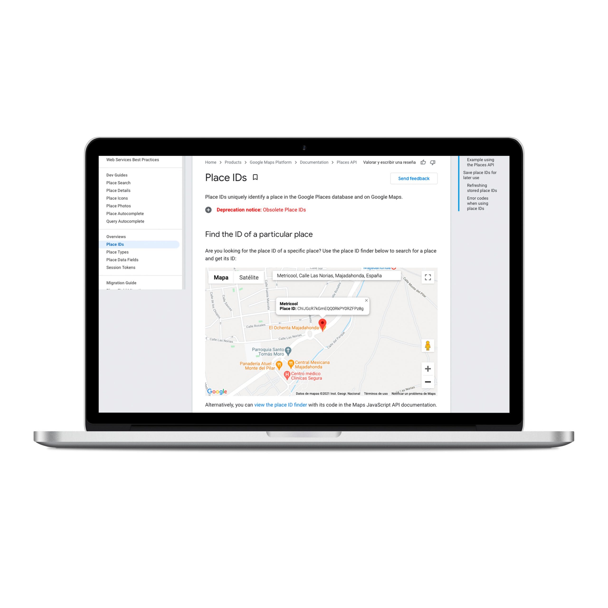 add google reviews to website