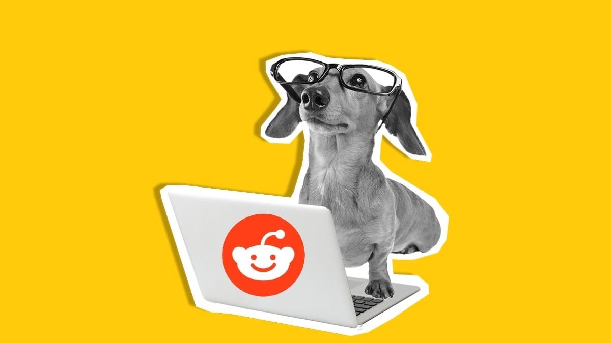 reddit-marketing-guide-master-the-people-s-platform-metricool