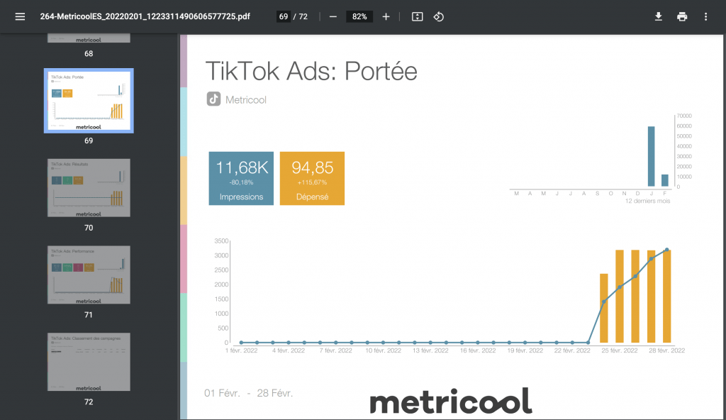 rapports tiktok ads avec metricool