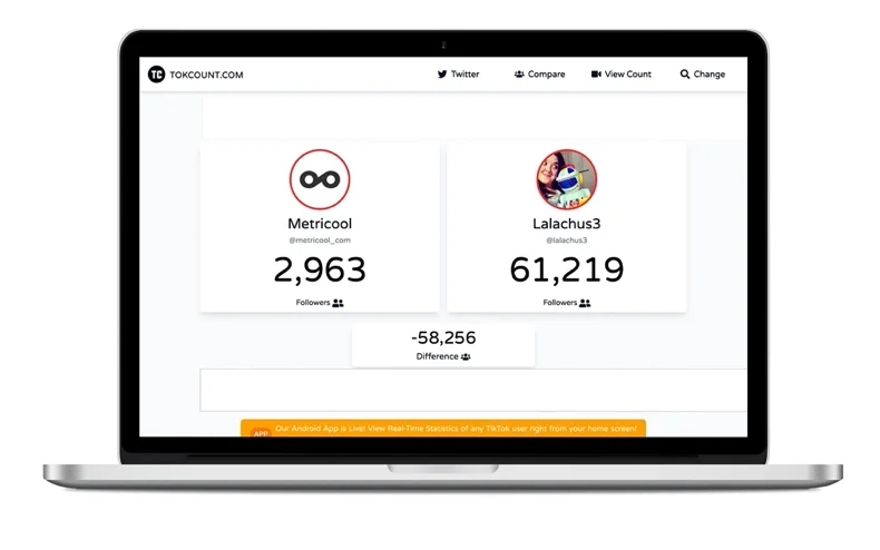 TikTok Counter: Discover the followers count of any TikToker