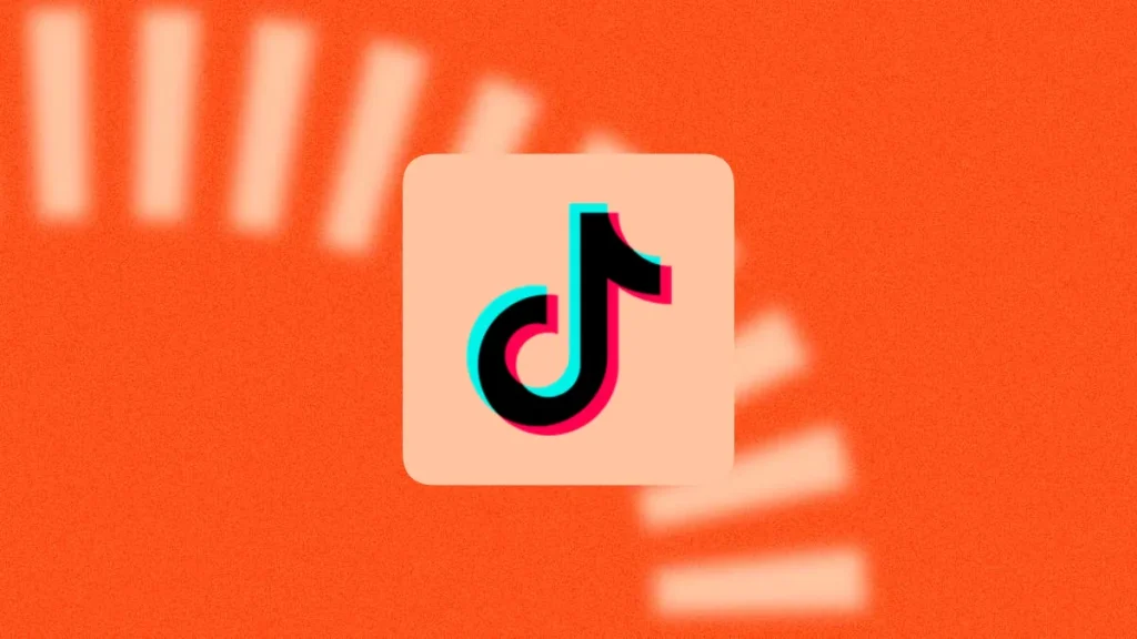 audit TikTok