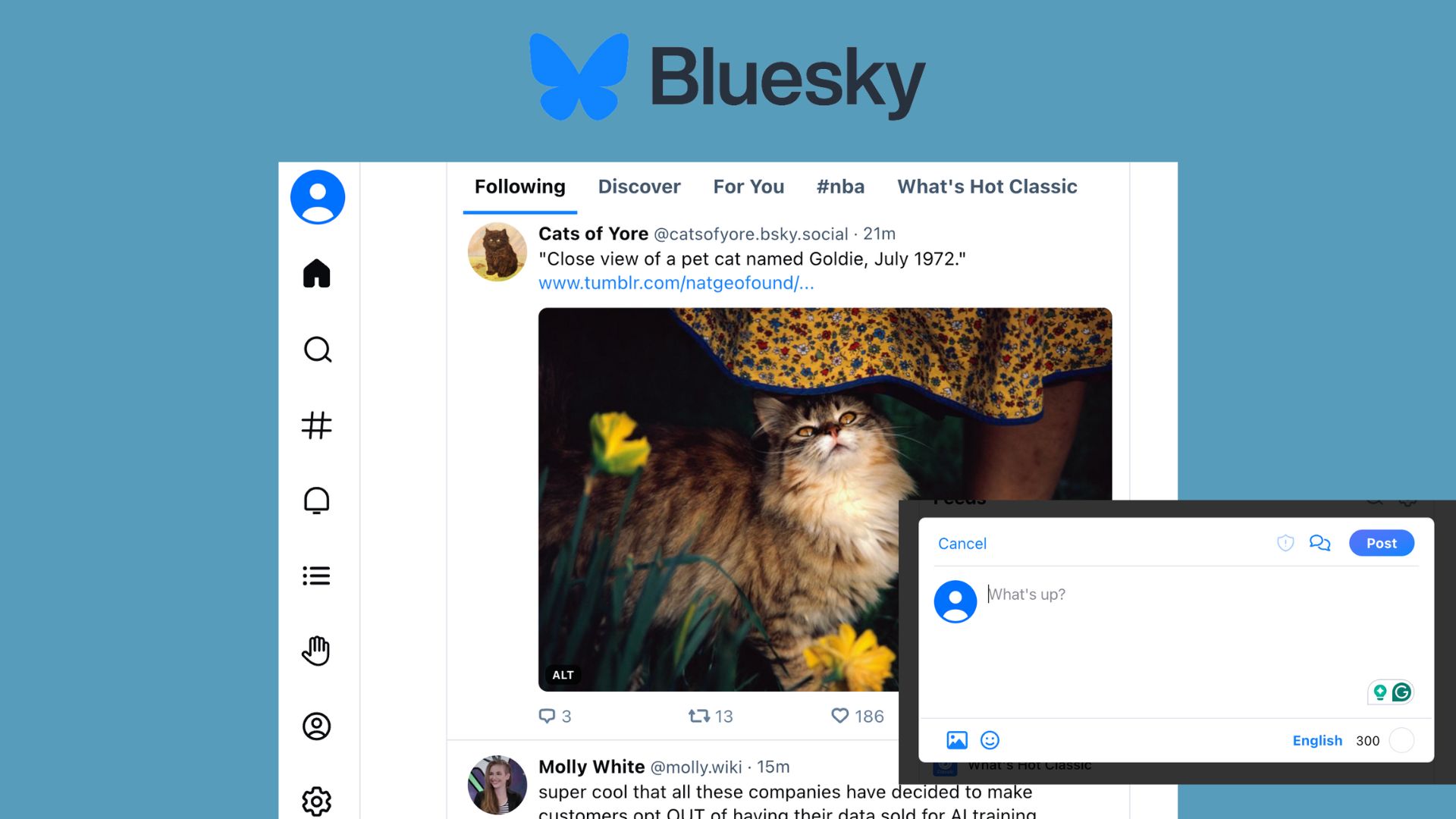 How to Use The Bluesky Social Media App