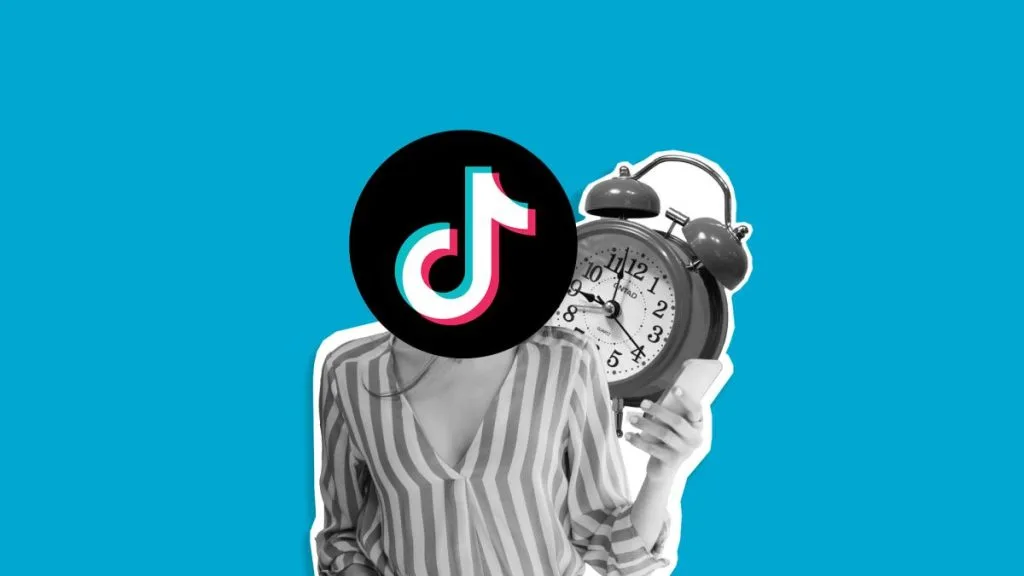 programmer tiktok