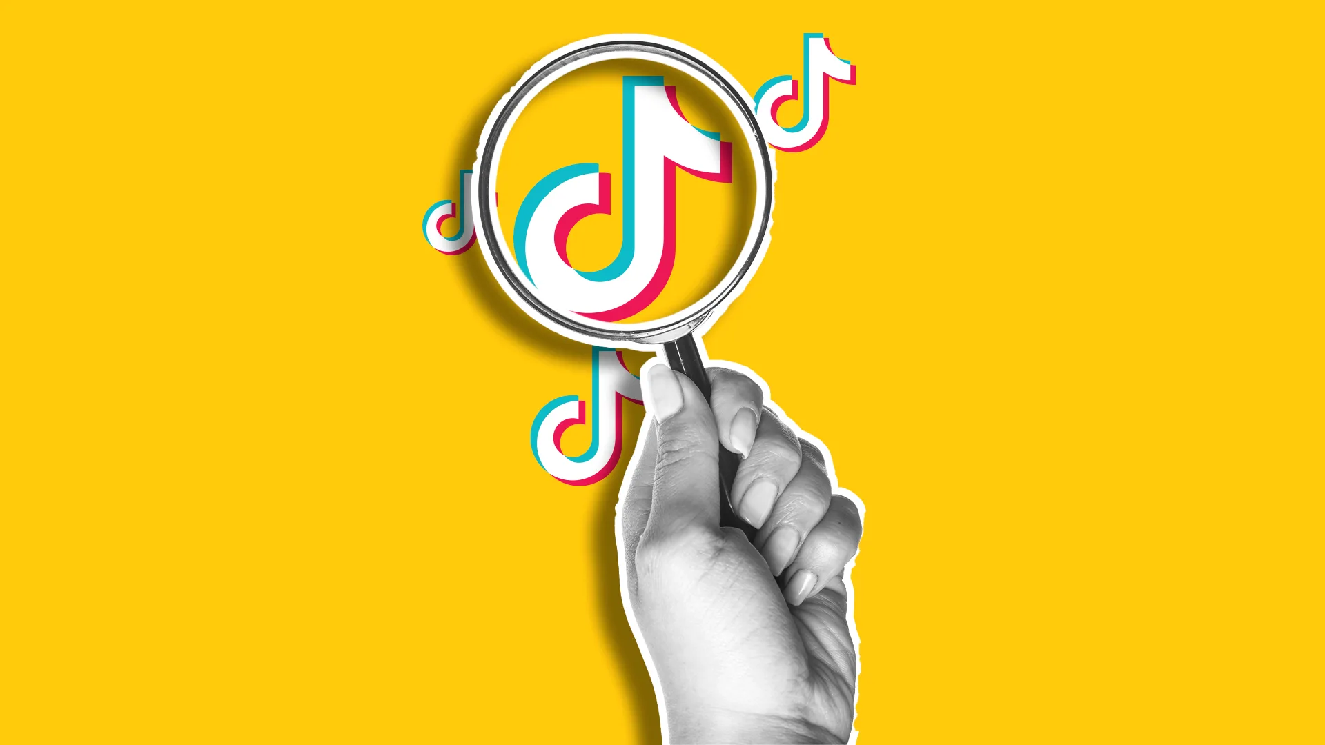 tiktok creator search insights