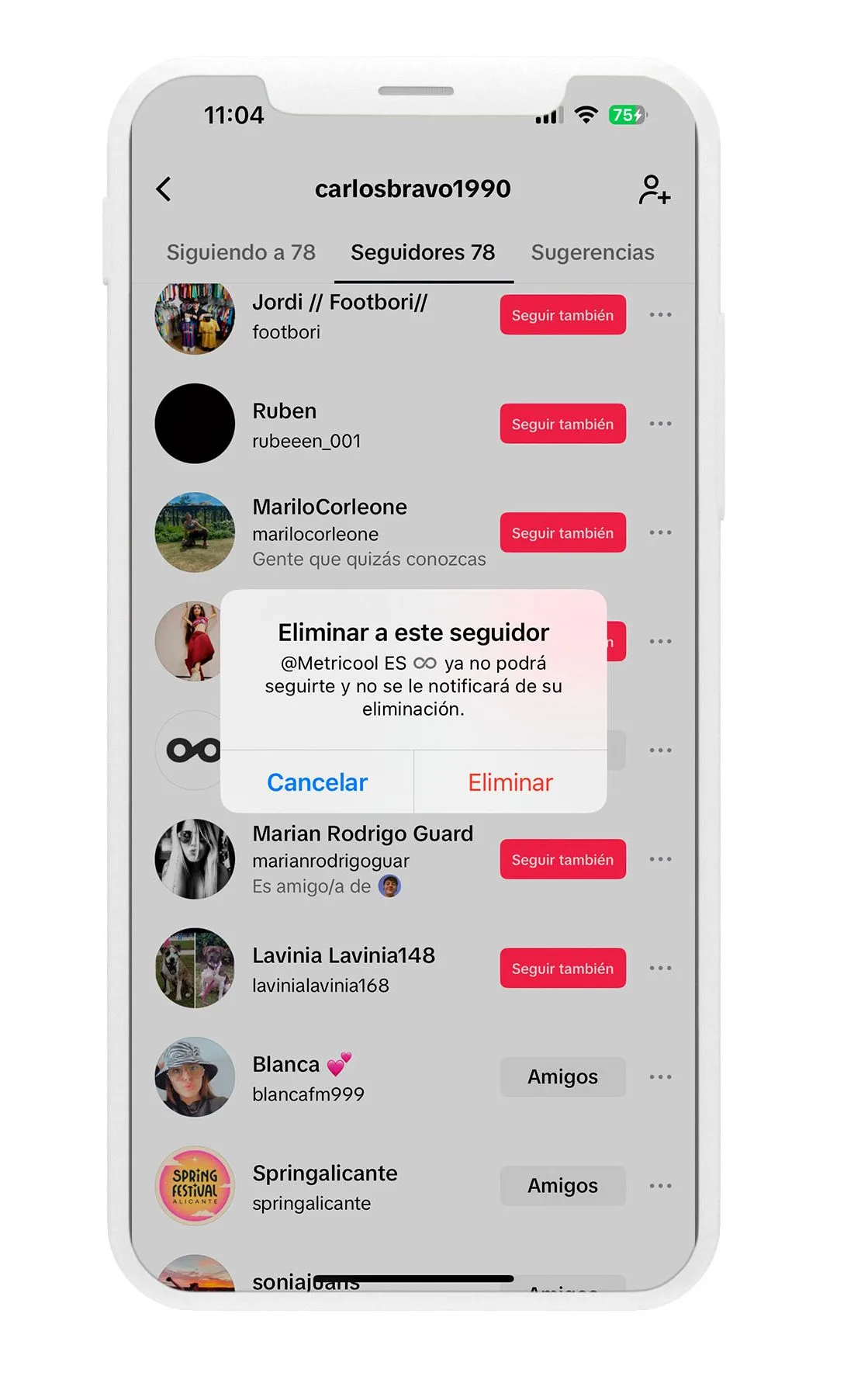 cómo eliminar seguidores tiktok
