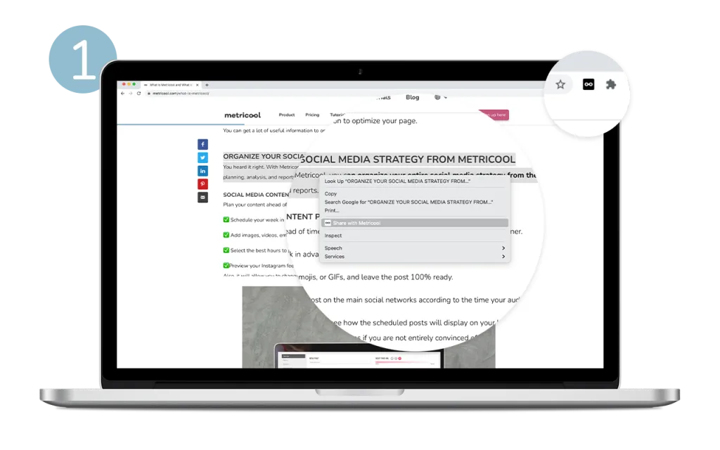 metricool Extension in google chrome