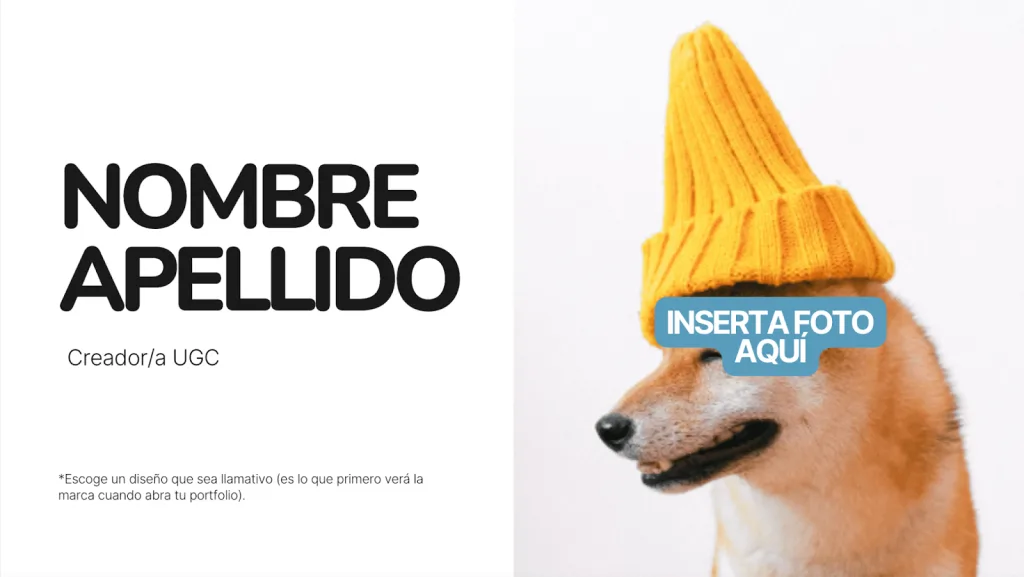 creador de contenido ugc