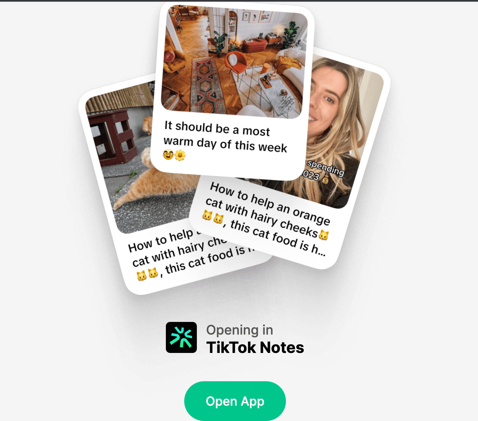 TikTok Notes App
