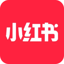 application qui remplace tiktok