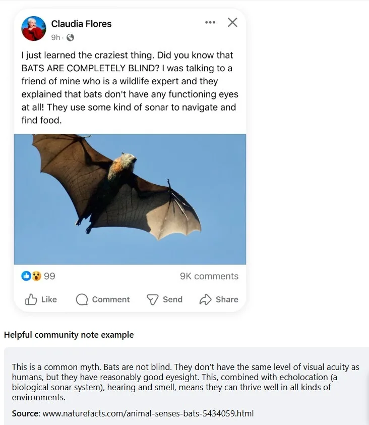 facebook community notes example