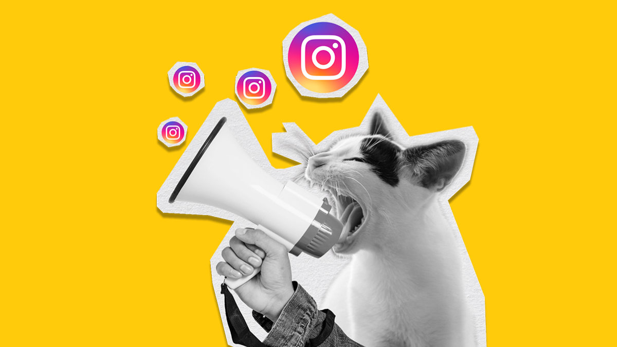 instagram bei google anzeigen