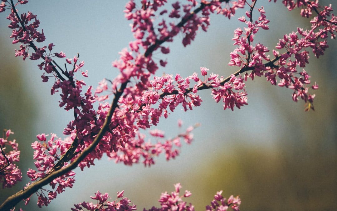 INSTAGRAM LINKS: HOW TO ADD LINKS TO ALL YOUR POSTS