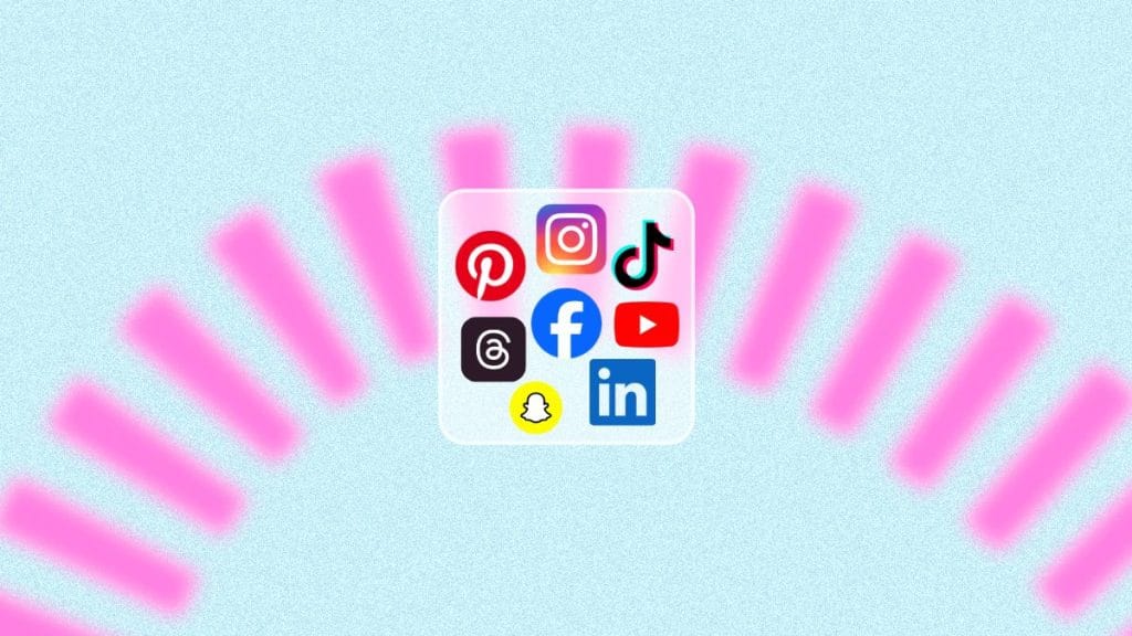 les réseaux sociaux les plus utilisés en France