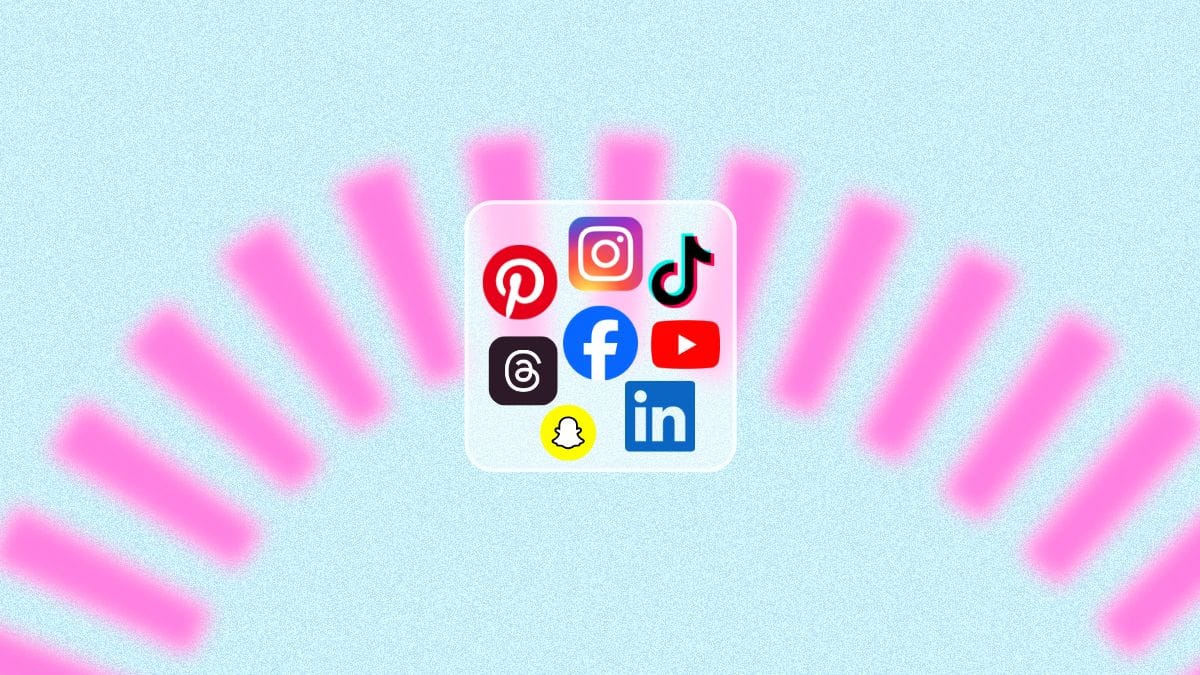 les réseaux sociaux les plus utilisés en France