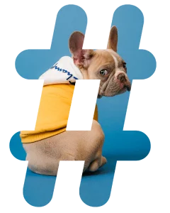 pets related hashtags