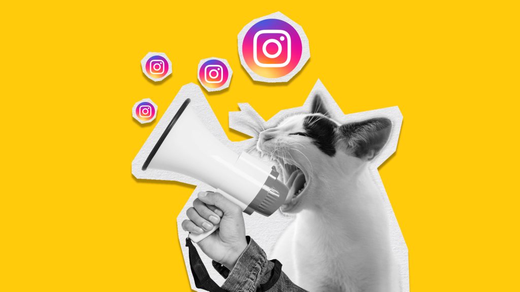 Nutze Instagram-Notizen für mehr Reichweite