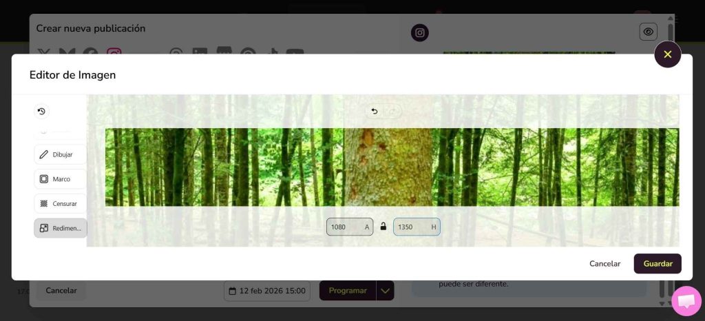 herramienta de redimensionar de Metricool