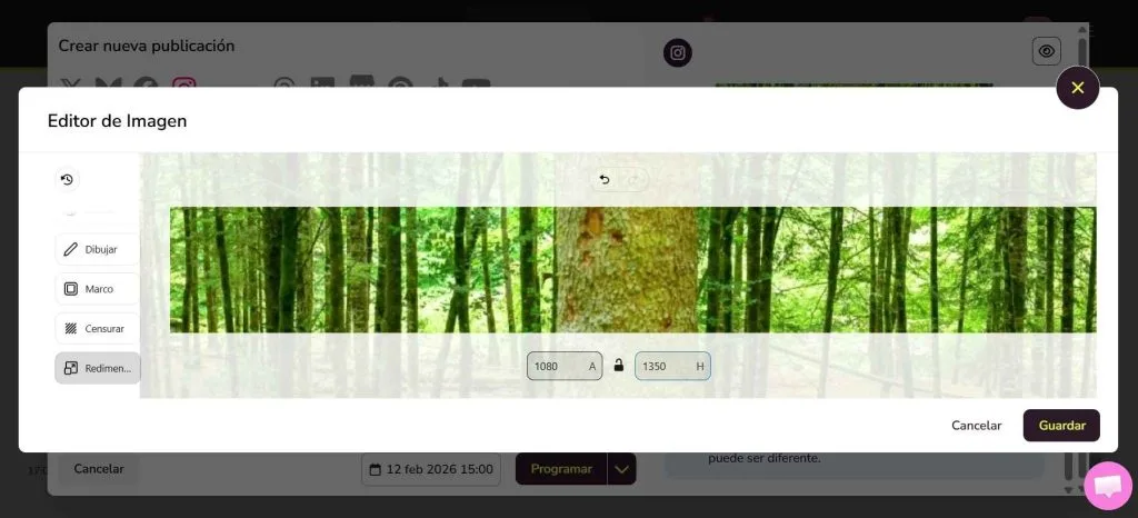 herramienta de redimensionar de Metricool