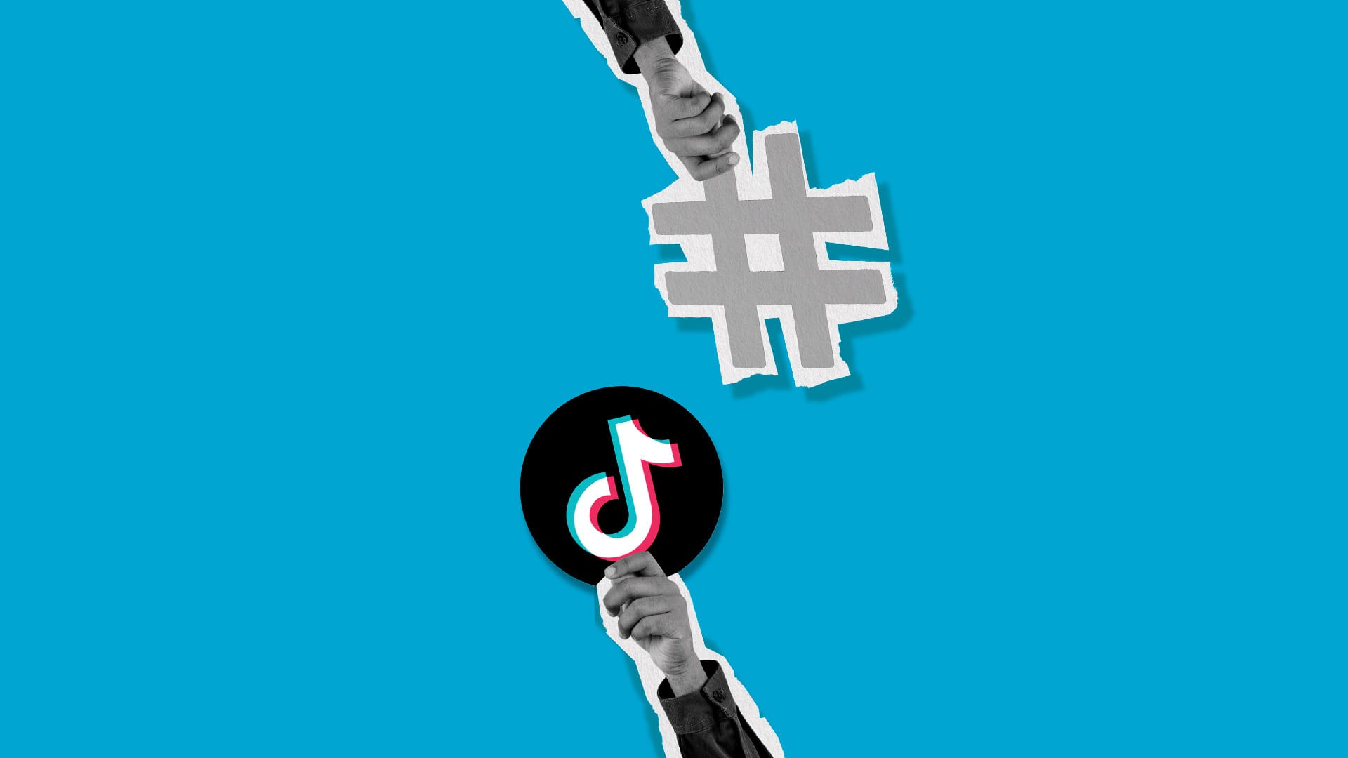tiktok hashtag sucher