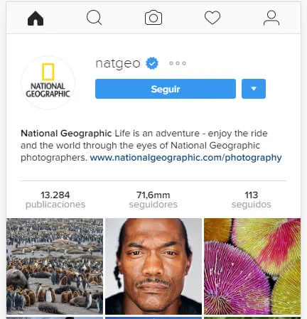 Instagram para llevar tráfico a tu web